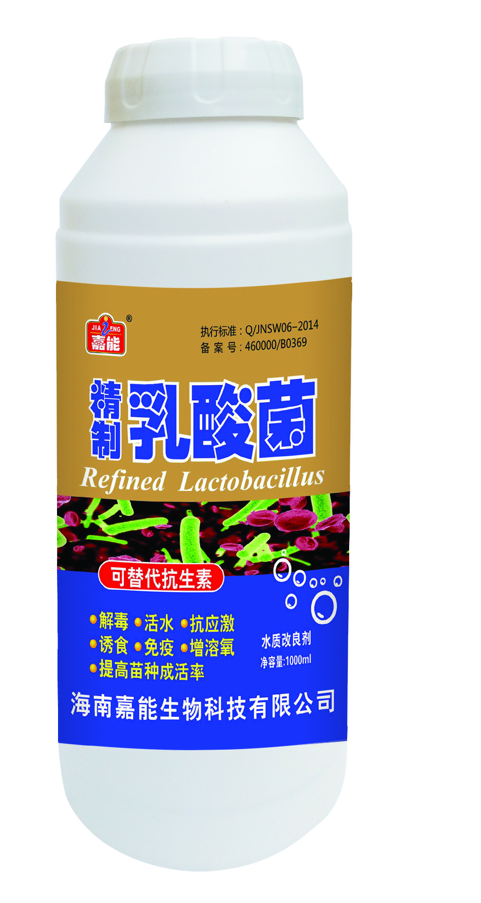 精制乳酸菌